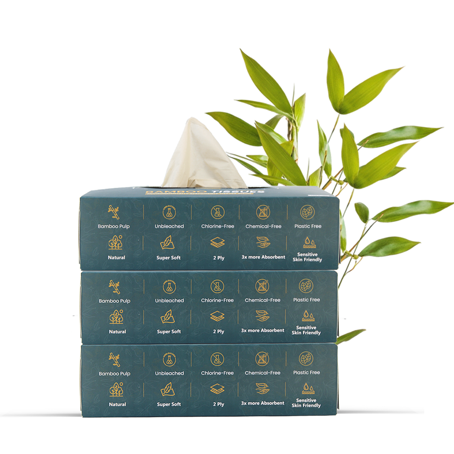 Facial Tissue - 100 puls, Pack of 3