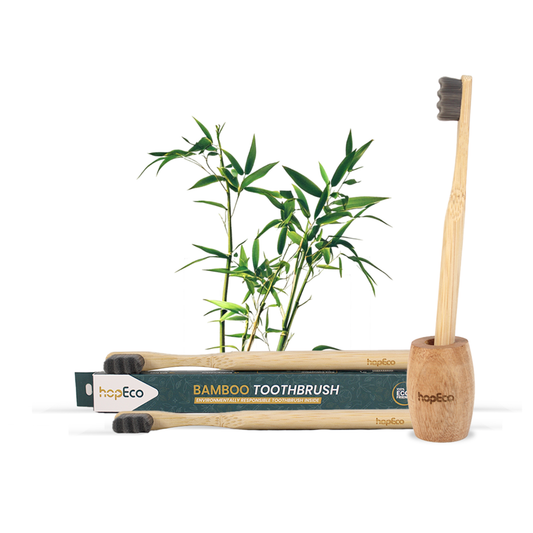 Toothbrush - Adult, Pack of 3